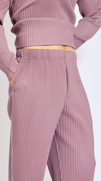 HOMME PLISSÈ ISSEY MIYAKE SEASIDE PURPLE MONTHLY PANTS