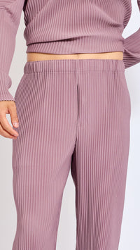 HOMME PLISSÈ ISSEY MIYAKE SEASIDE PURPLE MONTHLY PANTS