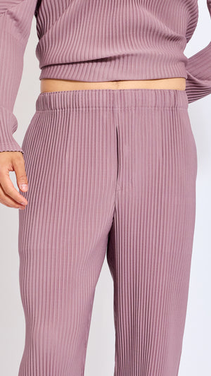 HOMME PLISSÈ ISSEY MIYAKE SEASIDE PURPLE MONTHLY PANTS